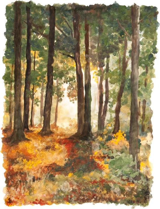 Immagine prodotto Natural Earth Paint Colore per bambini (Arancia, Blu, Rosso, Verde, Marrone, Giallo, 2000 ml)
