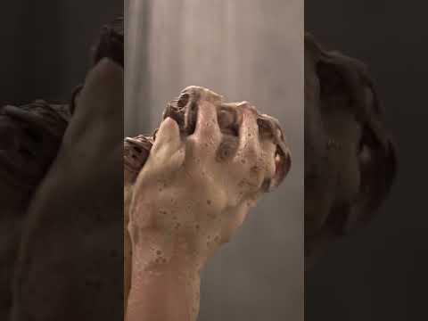 Immagine prodotto Eliah Sahil Shampoo AMLA - Lucentezza e pienezza (Shampoo liquido)