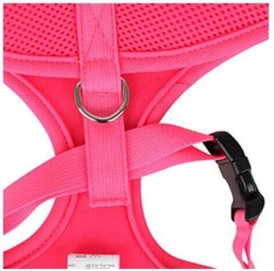 Immagine prodotto Puppia Imbracatura per il petto A (M, Cane, Passeggiare)