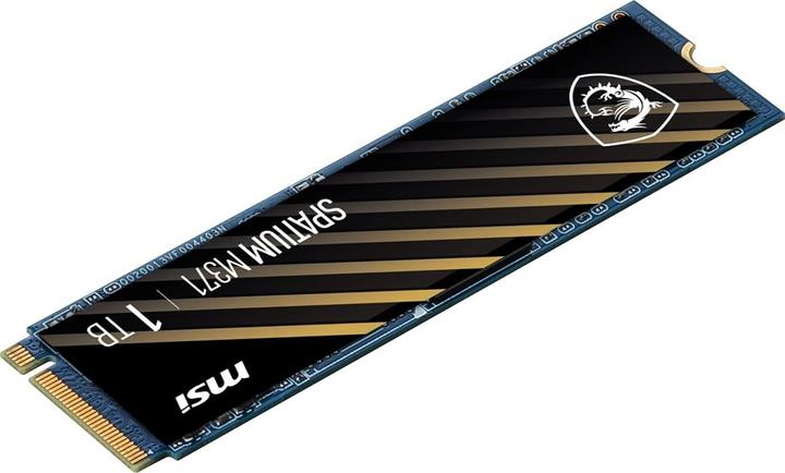 Actual product image MSI M371 NVMe M.2 (1000 GB, M.2 2280)