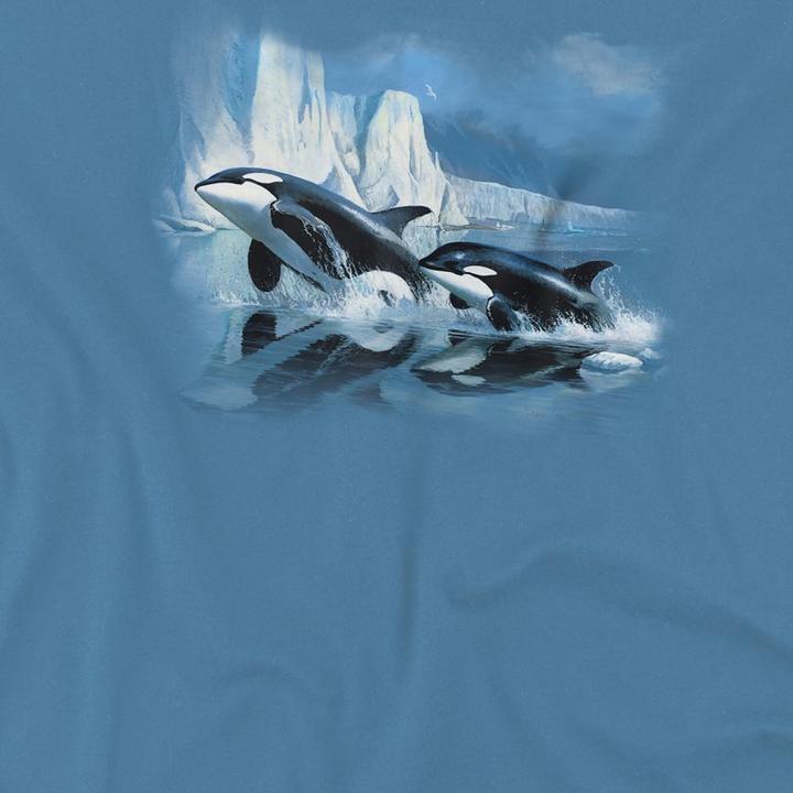 Produktbild Wildlife Glaciers Edge Orcas TShirt (S)