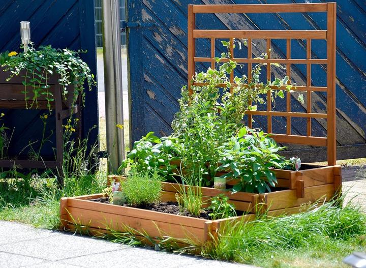 Actual product image Dobar Peru