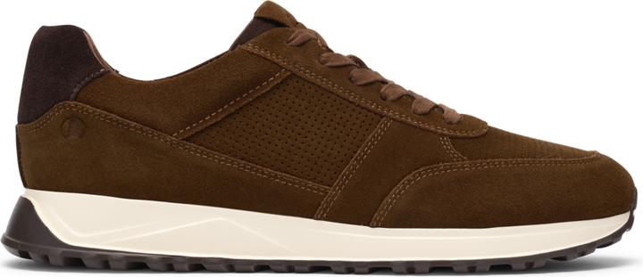 cola camoscio, Marrone