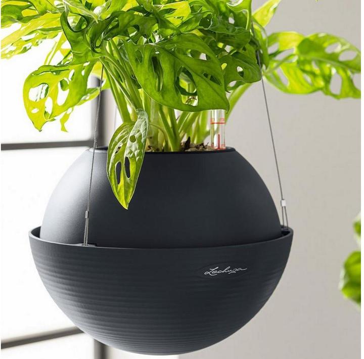 Actual product image Lechuza Flowerpot Bola Color 32 (32 cm)