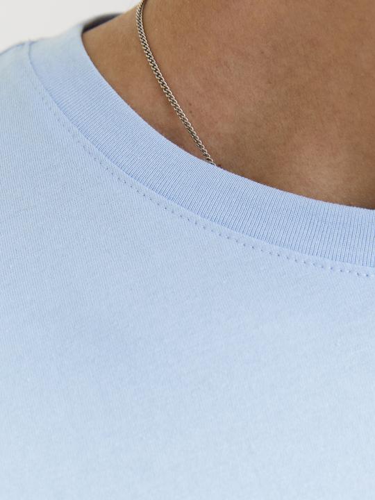 Actual product image Jack & Jones Jjepaulos Tee Ss Crew Neck Noos Pls (3XL)