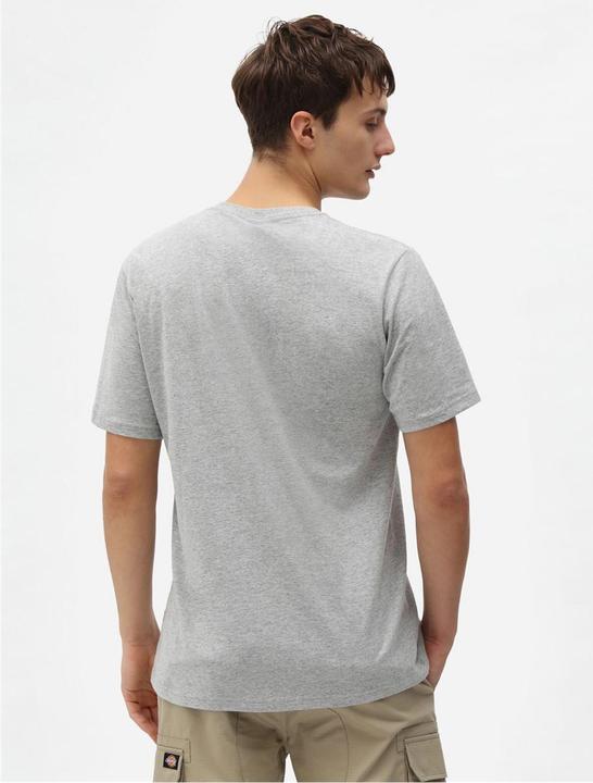Image du produit Dickies T-Shirt Mapleton (S)