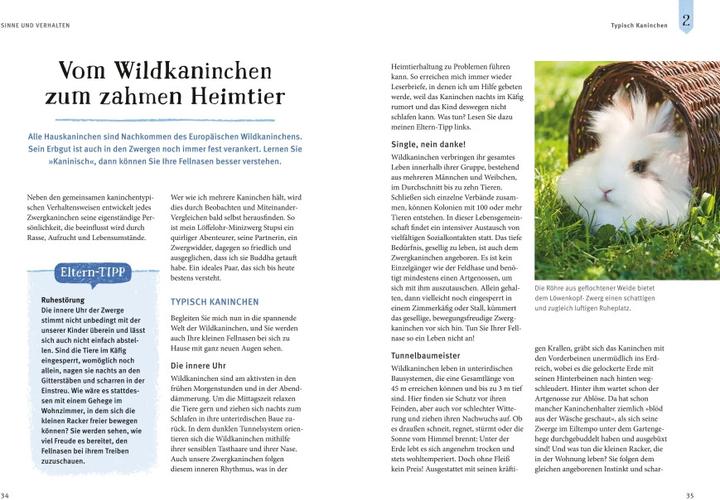 Produktbild Liebenswerte Zwergkaninchen (Deutsch, Monika Wegler, 2015)
