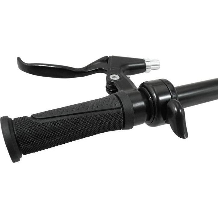 Thumbnail - Newton, Veloglocke