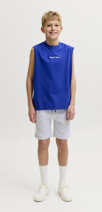 Image du produit Jack & Jones Junior Hose GORDON Shorts (176)