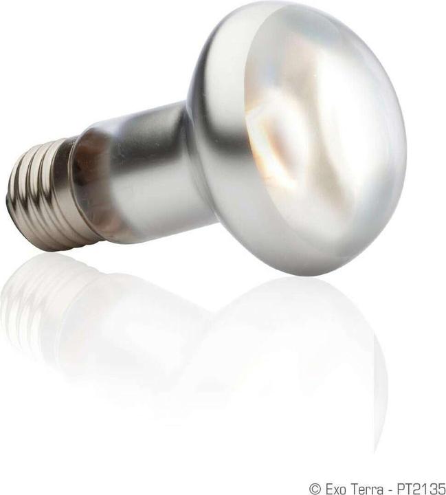 Actual product image Exo Terra Sun Glo Heat Spot Lamp TB 50W (UVA)