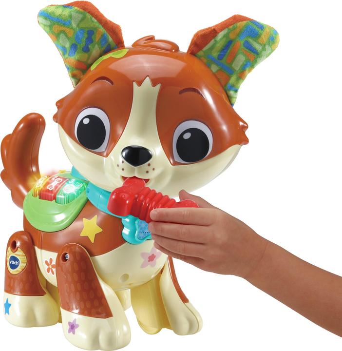 Actual product image VTech 80-552564 Run-with-me doggie baby toy, colourful