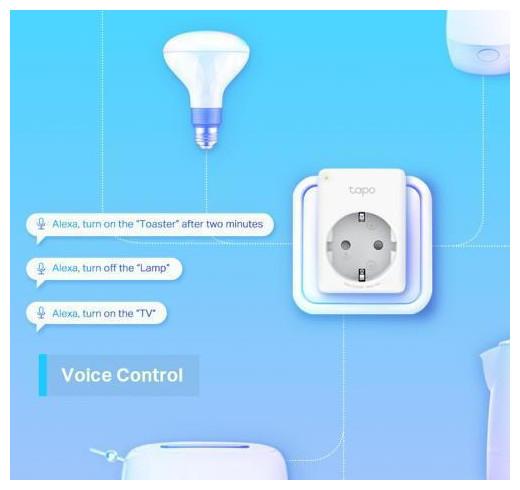 Actual product image TP-Link Tapo P100