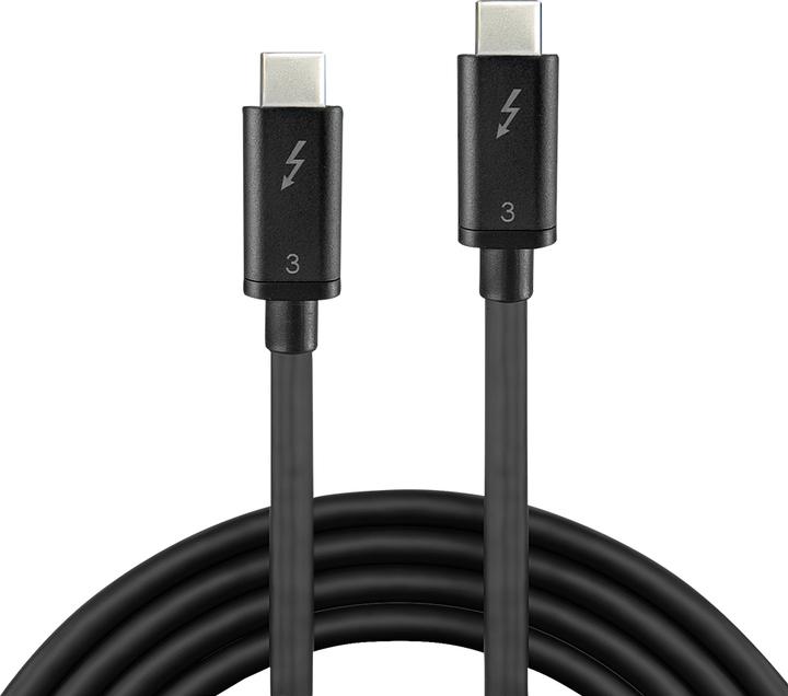Produktbild Lindy USB-C - USB-C USB-Kabel 0,5 m schwarz (41555) (0.50 m, USB 3.1)