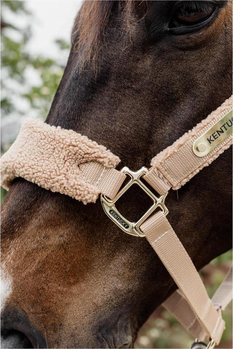 Actual product image Kentucky Horsewear Halter Teddy fleece