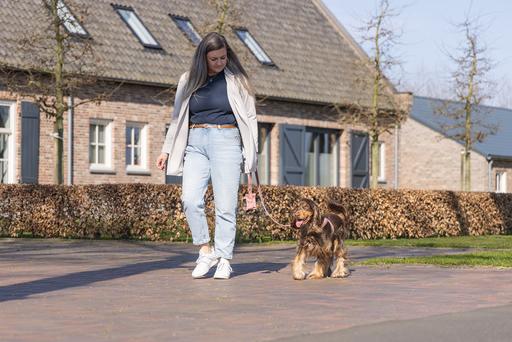 Image du produit Designed by Lotte Velura (XXS, XS, S, M, L, Chien, Promenade)