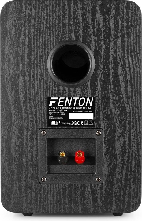 Actual product image Fenton SHFB65 (1 pair, 200 W)