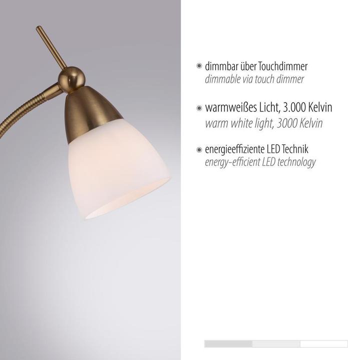 Produktbild Paul Neuhaus Pino (265 lm, G9)