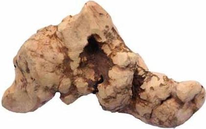 Actual product image Chewies Chewable root (Adult, 1 pcs., 130 g)