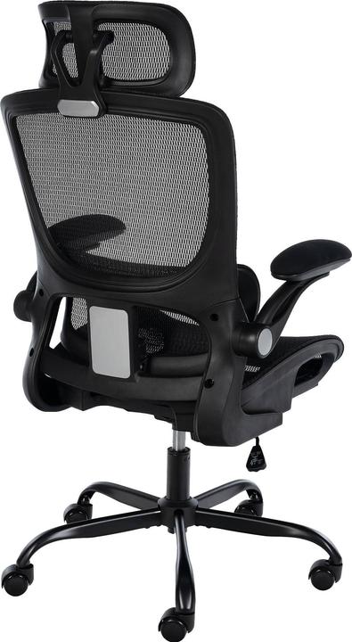 Immagine prodotto CLP Kaylee (48 - 55 cm)