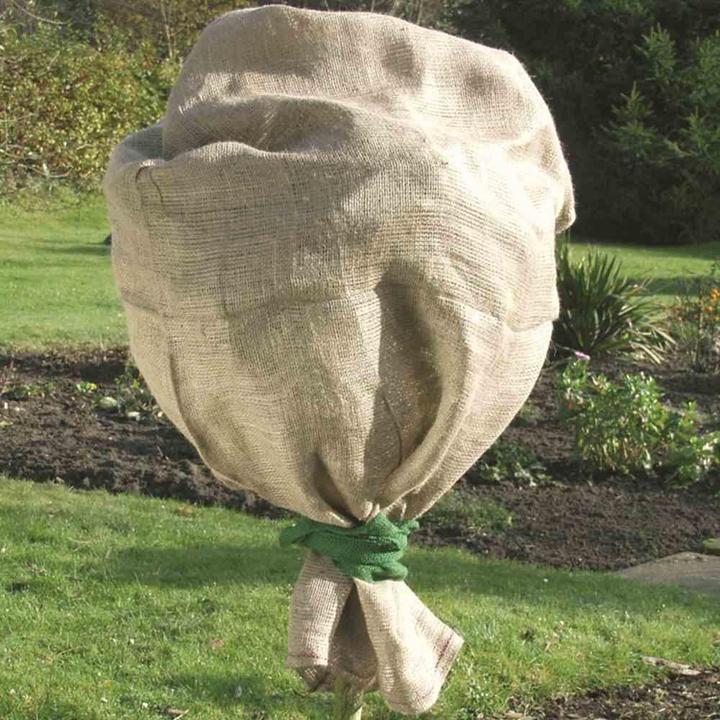 Image du produit Siena Garden Ruban d'emballage en jute vert 300x6cm