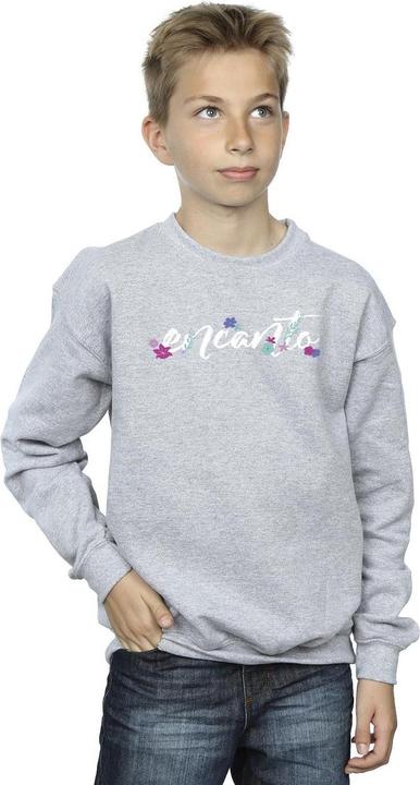 Produktbild Disney Encanto Logo Sweatshirt Jungen (116)