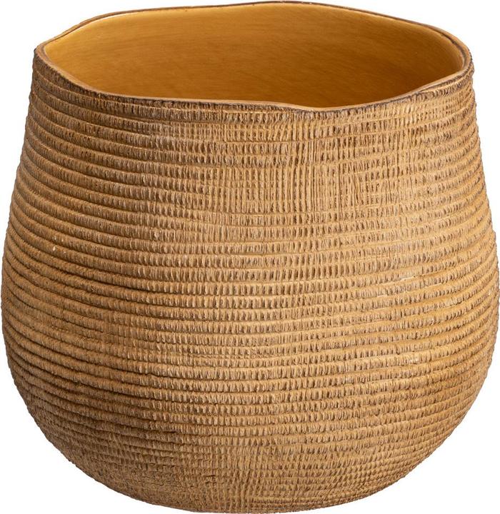 Produktbild edy&liv Synsia (15 x 14 cm)