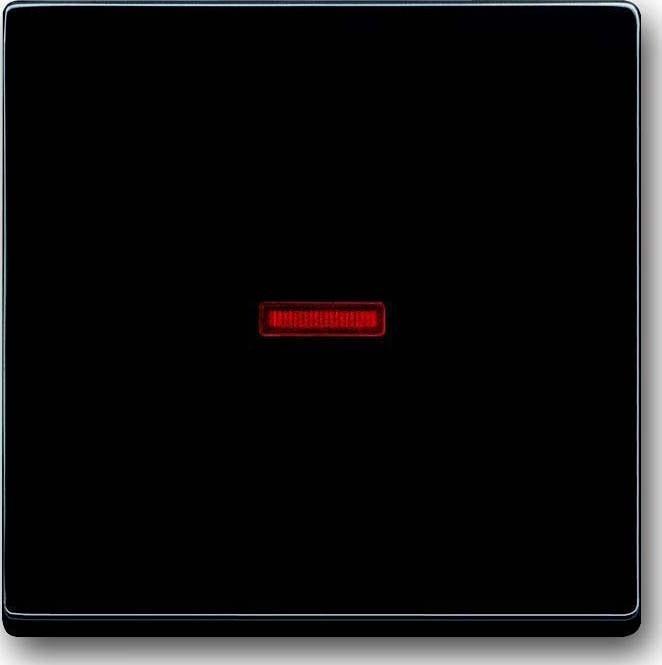 Image du produit Busch-Jaeger Bascule de contrôle