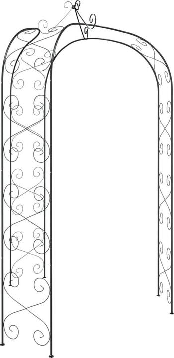 Immagine prodotto vidaXL Gartenbogen (255 cm, 180 cm)