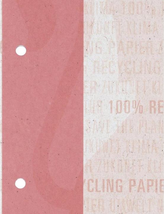 Produktbild Oxford Recycling Schulblock, A4 (A4, Kariert, Harter Einband)