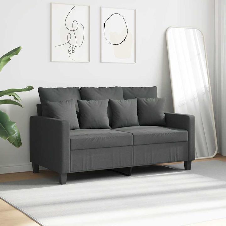 Actual product image vidaXL 2-Sitzer-Sofa (2 person sofa)