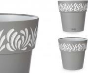 Grau-Weiss, Gris-Blanco