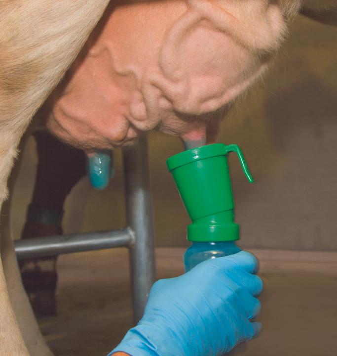 Produktbild Kerbl Dipbecher Standard (300 ml, 1 x)
