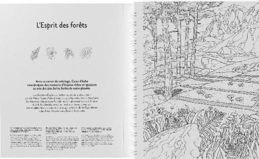 Image du produit Caran d'Ache Esprit des Forets Malbuch