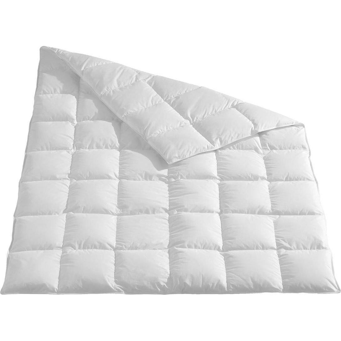 Traumschlaf, Duvet, Himalaya (930 g, 240 x 220 cm)