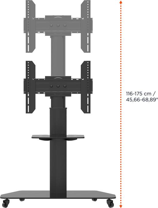 Produktbild Celexon Rollwagen Adjust-3770MP (50 kg, 32" - 70")