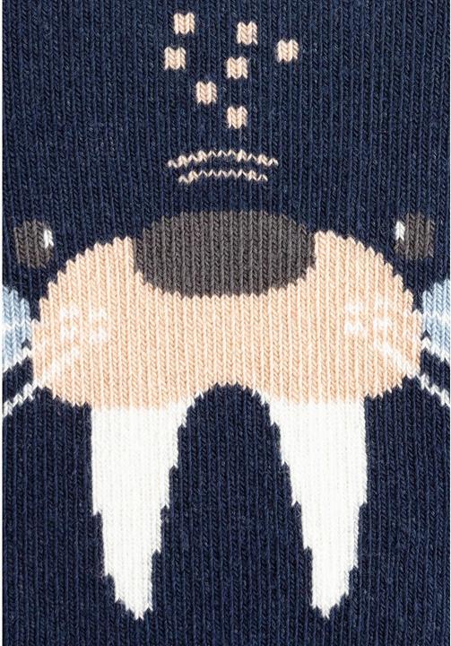 Immagine prodotto Sterntaler Calzini antiscivolo Air Walrus Navy taglia 18 (18)