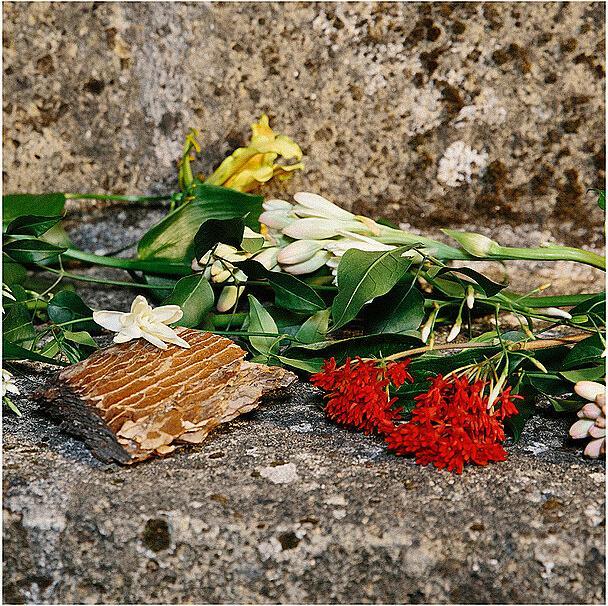 Actual product image Gucci Profumo di Fiori Eau de Parfum (Eau de parfum, 30 ml)