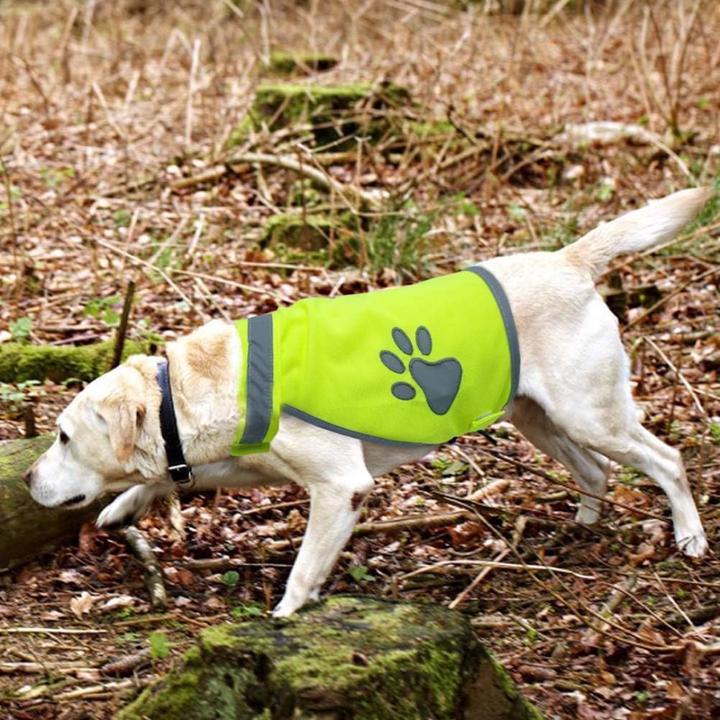 Actual product image Suba Reflective safety vest for dogs (S, Dog vest)