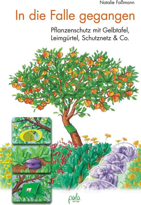Produktbild In die Falle gegangen (Deutsch, Natalie Fassmann, 2011)