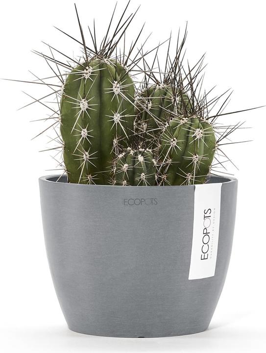 Immagine prodotto Ecopots Stoccolma