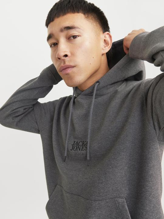Produktbild Jack & Jones Logo Kapuzenpullover Kapuzenpullover (XS)