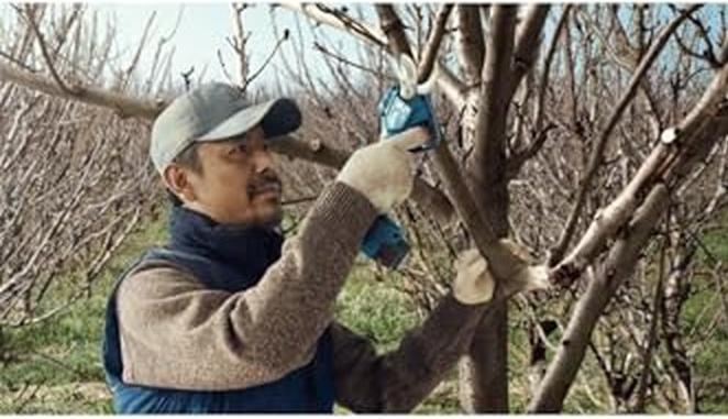 Produktbild Bosch Professional Pro Pruner