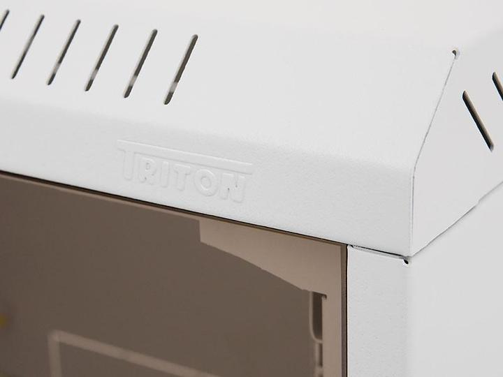 Immagine prodotto Triton RBA-06-AS5-CAX-A1 - Distributore a parete da 19", un pezzo, 6 U, 495 mm di profondità (6 HE, Rack da 19 pollici)