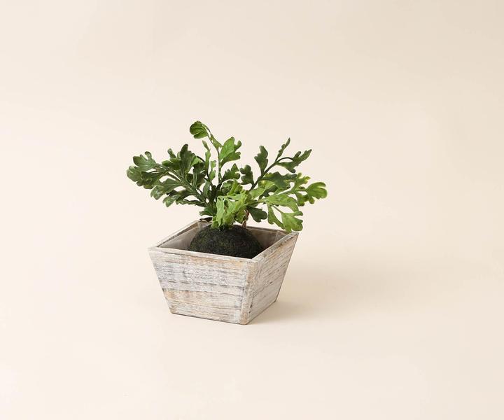 Produktbild I Am Creative Holztopf (15 x 15 x 9.50 cm)