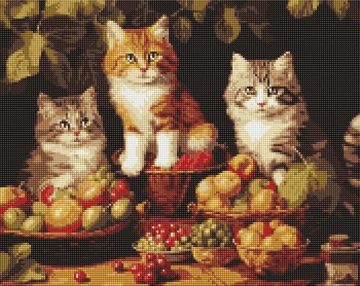 Actual product image Ideyka Diamond Painting - Cats and fruits with frame 40 x 50 cm