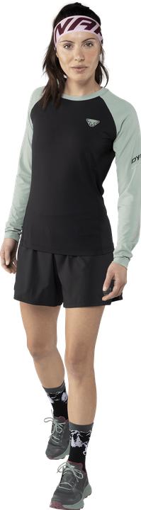 Produktbild Dynafit Alpine Pro Langarmshirt (40)