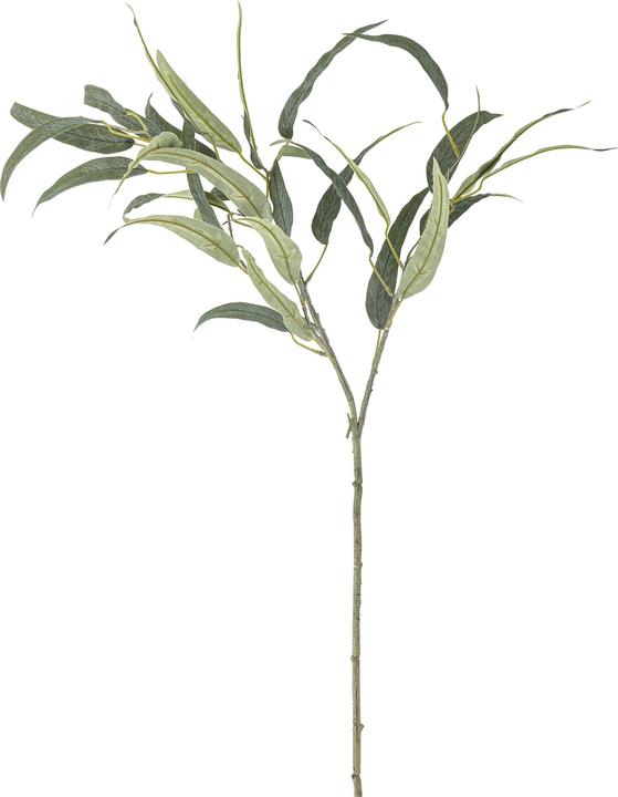 Bloomingville Eucalyptus (85 cm)
