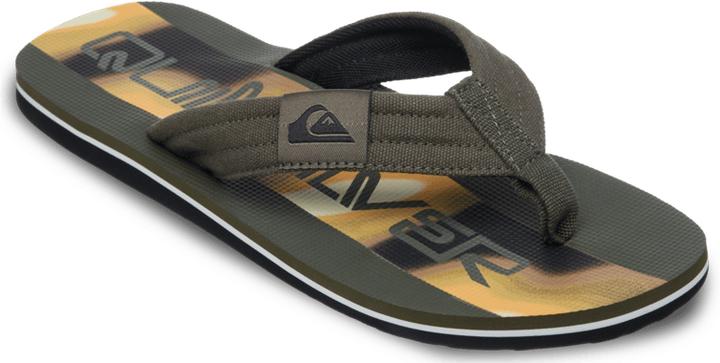 Quiksilver Molokai Layback 26, Grape Leaf Holmes, 12(45)