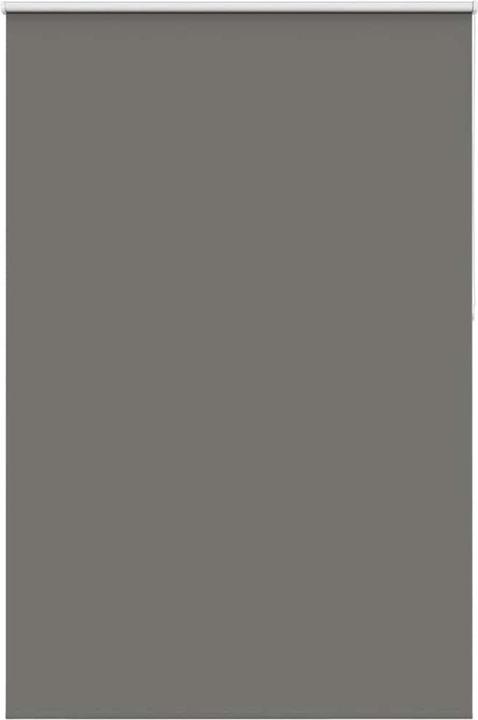 Actual product image vidaXL Verdunkelungsrollo (150 x 230 cm)
