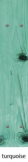 Turchese